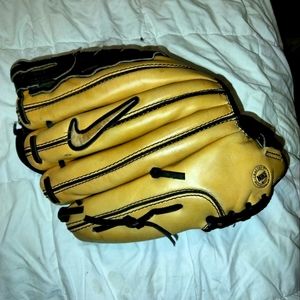 Nike Diamond Elite baseball glove